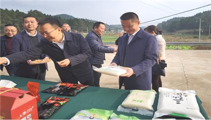 市委常委、政法委書記劉波濤帶隊調研指導定點幫扶村鄉(xiāng)村振興工作